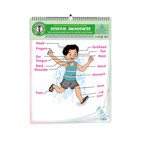 Claap Picture Calendar For Kids – General Awareness Edition - Image 8