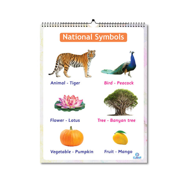 Claap Picture Calendar - My India - Image 3