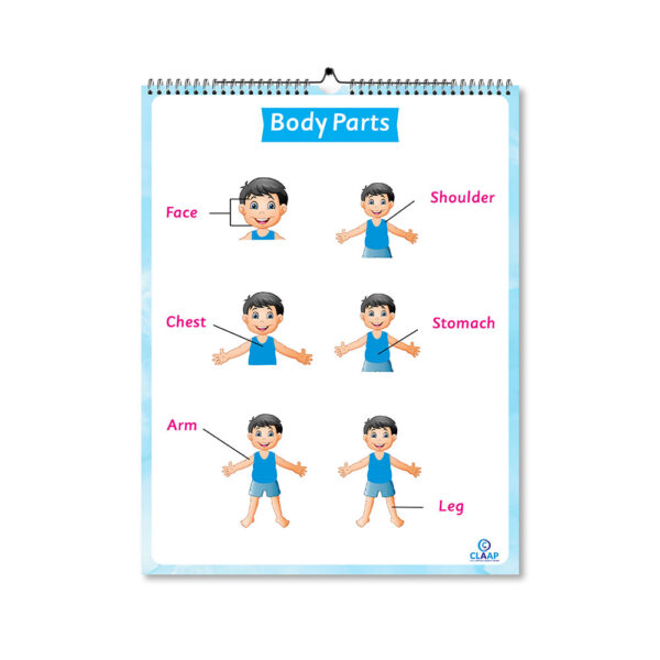 Claap Picture Calendar For Kids – General Awareness Edition - Image 7