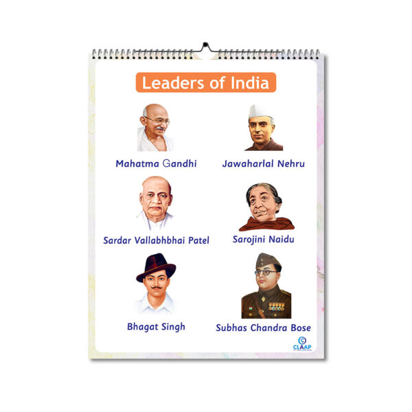 Claap Picture Calendar - My India - Image 4