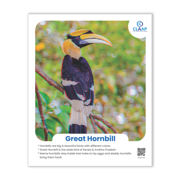 Claap 3D Animal Cards (Pack Of 8) - Image 5