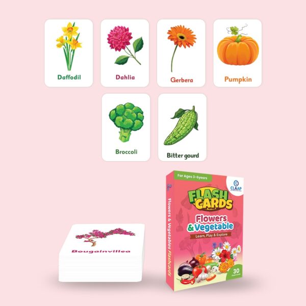 Flash Cards - Vegetables & Flowers - Image 4