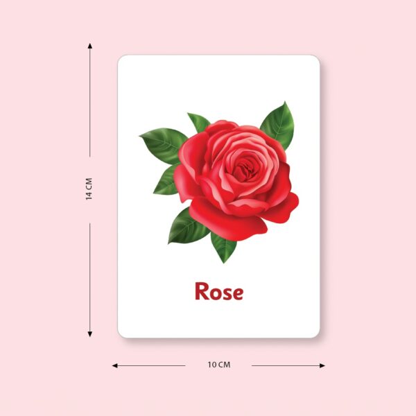Flash Cards - Vegetables & Flowers - Image 3