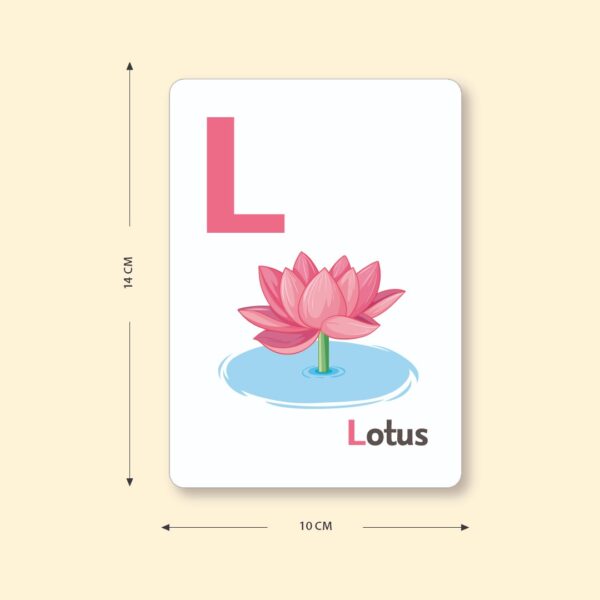 Flash Cards - Letters & Numbers - Image 3