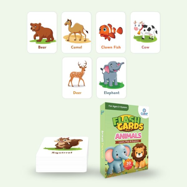 Flash Cards - Animals - Image 4