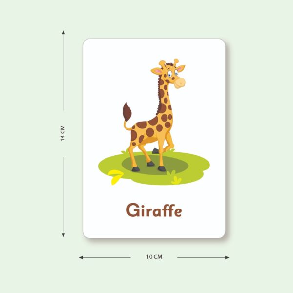 Flash Cards - Animals - Image 3
