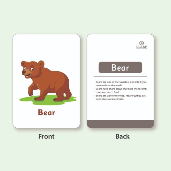 Flash Cards - Animals - Image 2