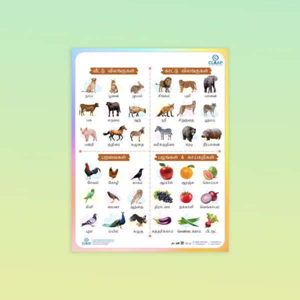 Tamil Animals, Birds, Fruits & Vegetables Learning Poster for Kids - Image 2