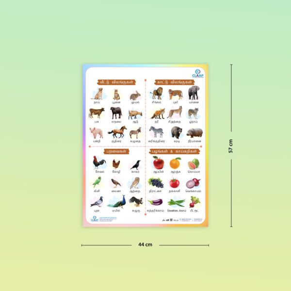 Tamil Animals, Birds, Fruits & Vegetables Learning Poster for Kids - Image 3
